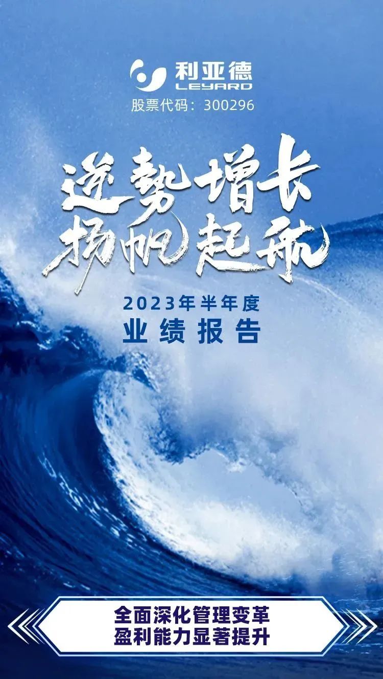 一图读懂BC贷2023年半年报