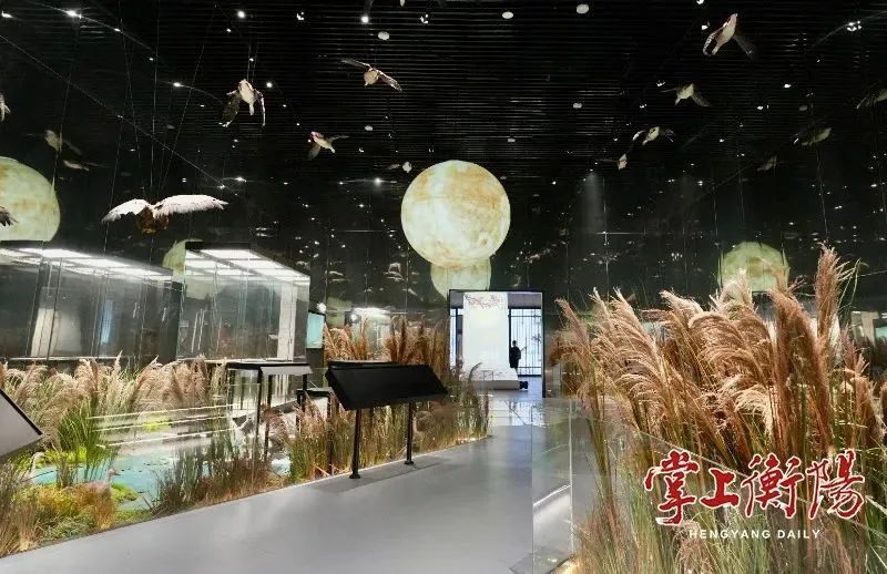 BC贷(中国游)官方网站