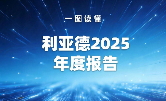 一图读懂 | BC贷2025年度报告